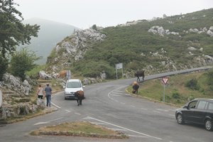 AsturienIMG_4515_rs