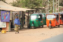 Bakau Market_rs