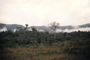 BelizeIMG_0014_rs BelizeIMG_0014_rs