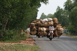 Fahrt nach Angkor02