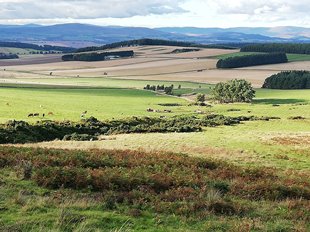 Fife Costal PathIMG_20180908_174032_rs