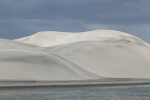 Guerrero Negro B.C.S.IMG_0869_rs