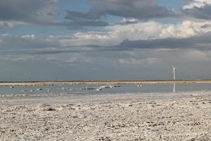 Guerrero Negro B.C.S.IMG_0971_rs