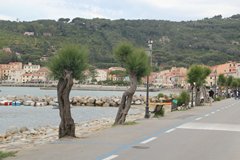 Marciana Marina 3IMG_1899_rs