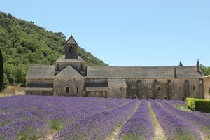 ProvenceIMG_3023_rs