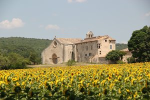 ProvenceIMG_3145_rs