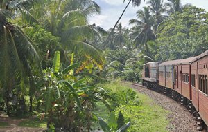 Sri LankaIMG_4775_rs