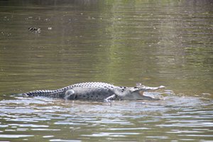 Sri LankaIMG_5079_rs