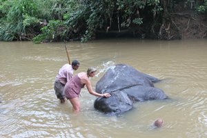 Sri LankaIMG_5279_rs