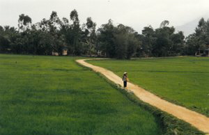 lviet nam IMG_0002 (2)_rs