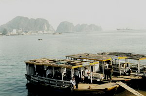 lviet nam IMG_0003_rs