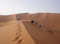 dnen von erg chebbi