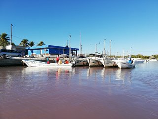 el cuyoIMG_20190216_080823_rs