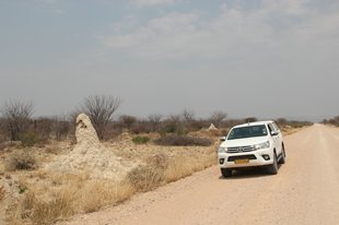 namibiaIMG_9946_rs