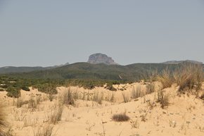 sardinien IMG_7571_rs